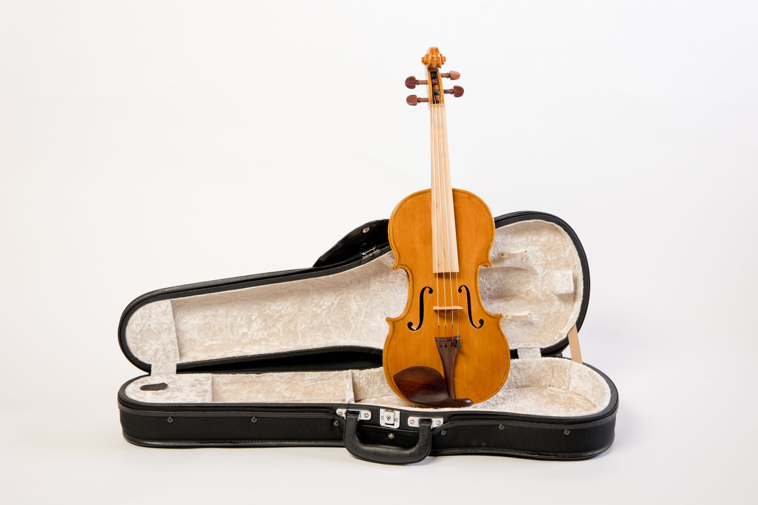 バイオリン | 楽器のご紹介 | ATENOTE